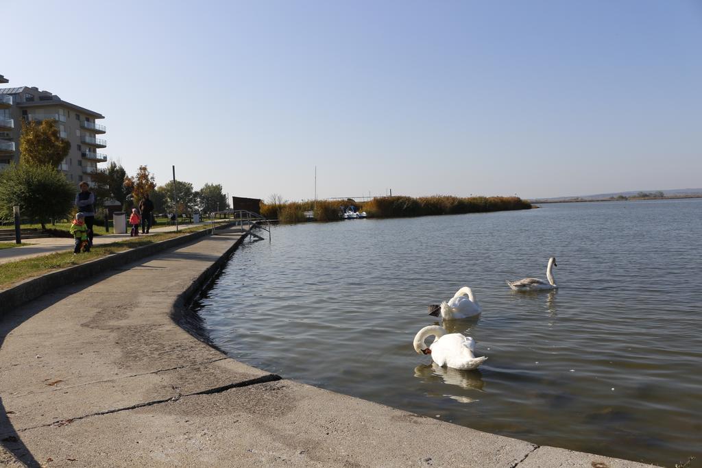 Wellness Apartments In Velence Kültér fotó