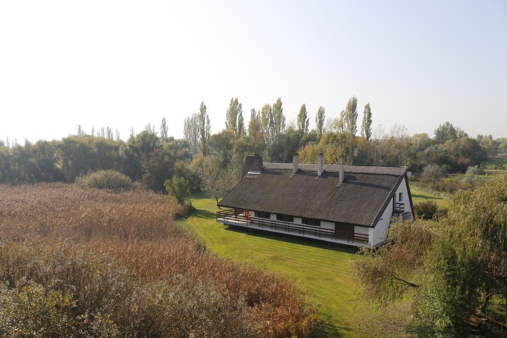 Wellness Apartments In Velence Kültér fotó